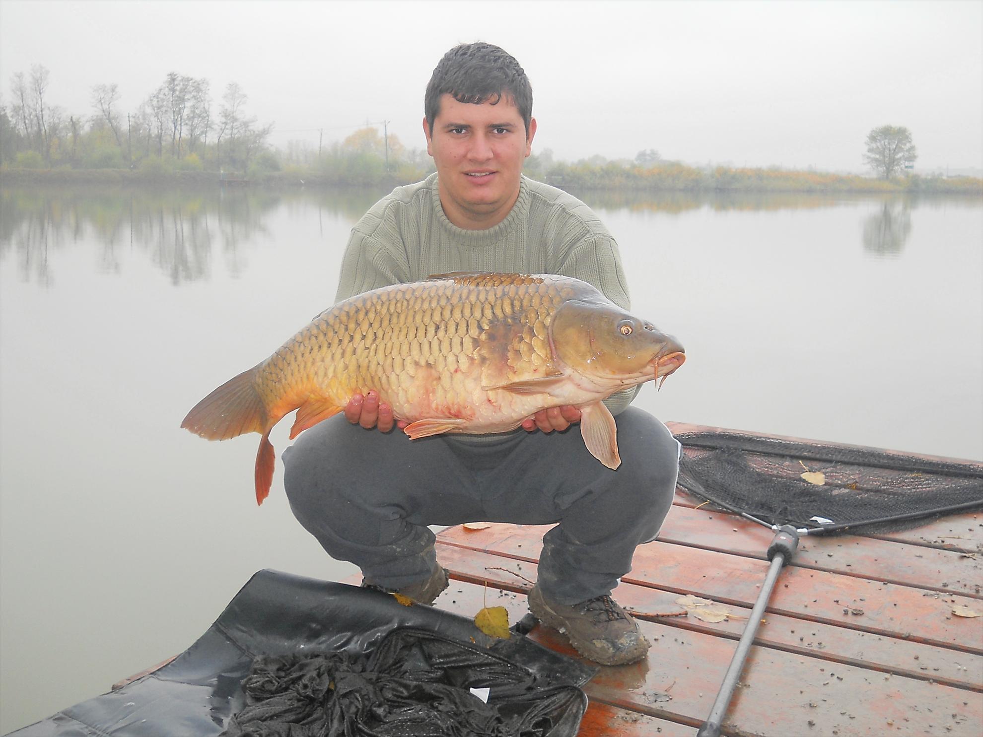 Pleasa - dscn0016.JPG